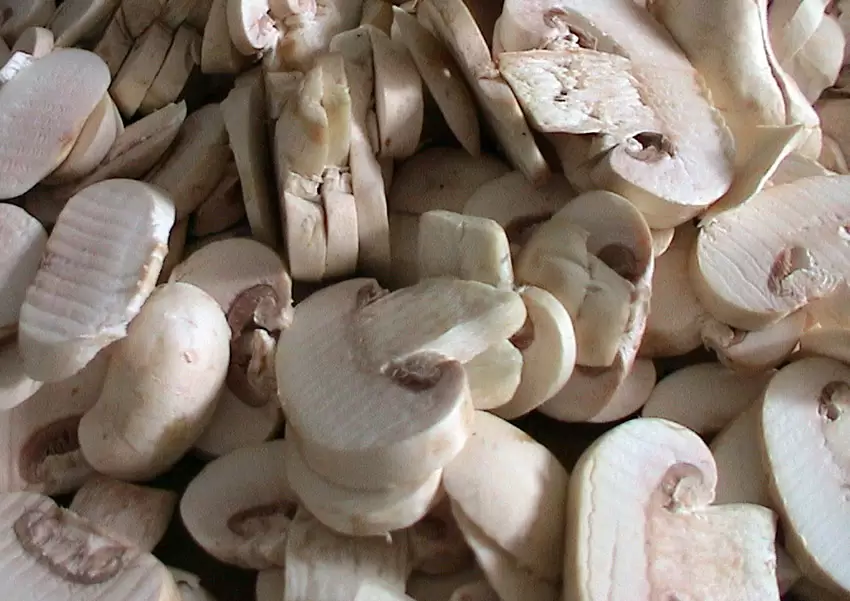 Champiñones fileteados