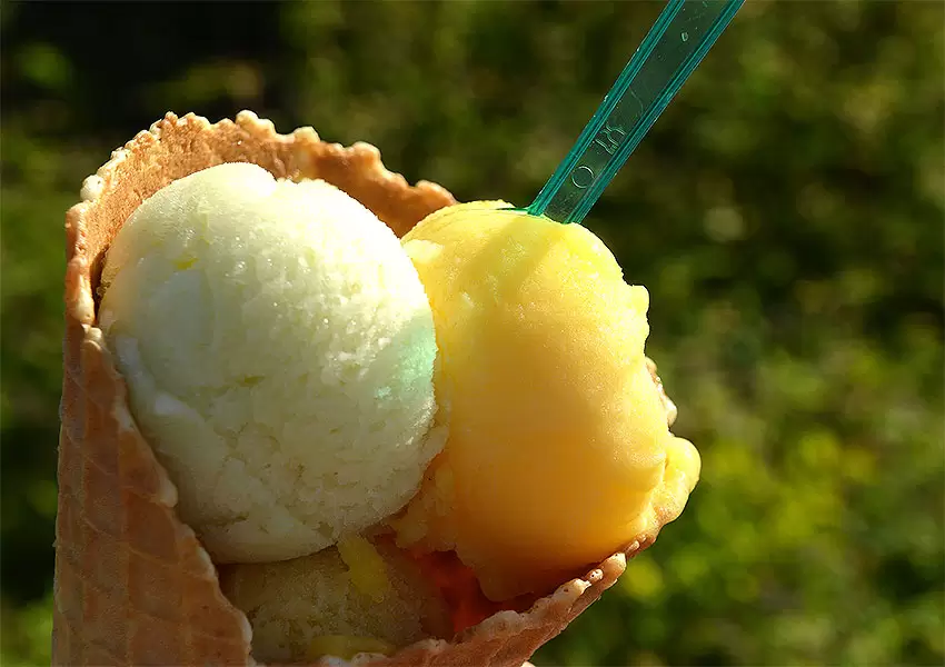 Sorbetes de frutas: Mejores ideas 2019