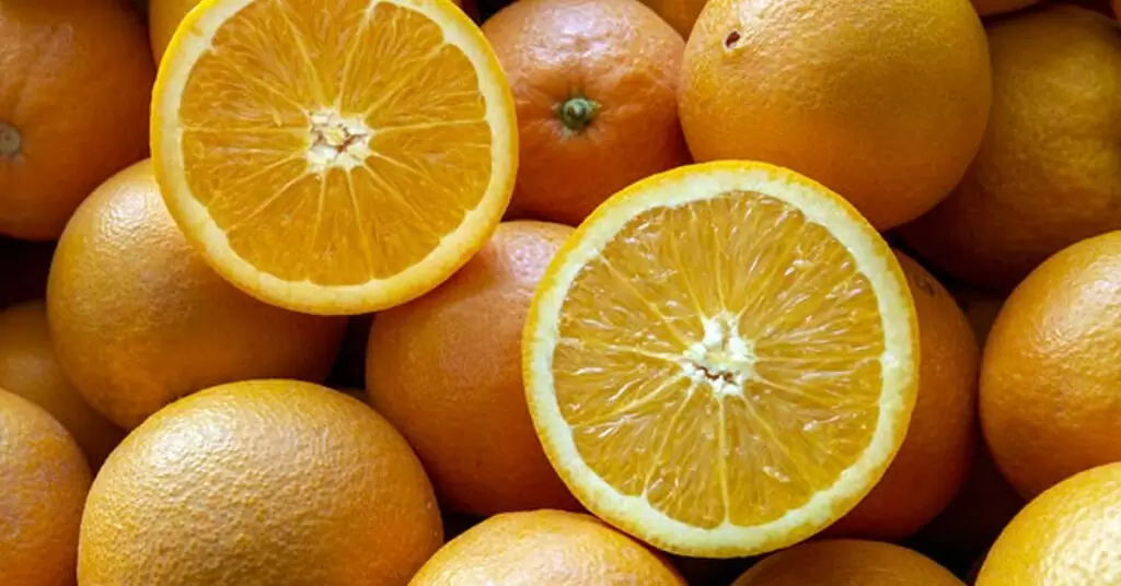 Claves para reparar un exprimidor de naranjas
