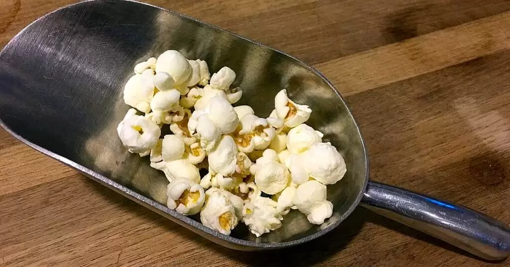 Tipos de máquina de hacer palomitas