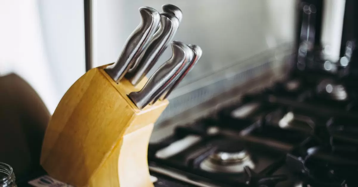 Cuchillos de cocina profesional